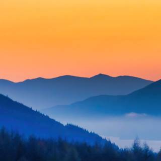 Forests iPhone wallpaper