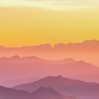 Morning phone wallpaper