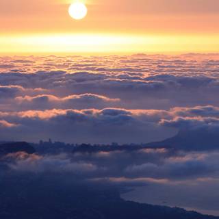 Morning phone wallpaper