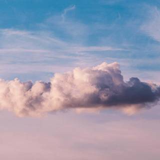 Morning phone wallpaper