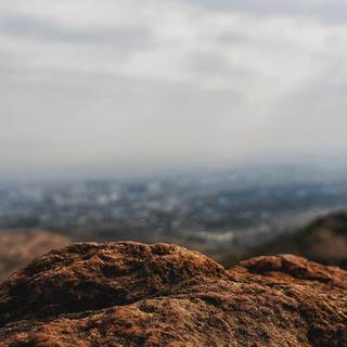 Morning phone wallpaper