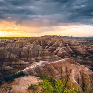 Morning phone wallpaper