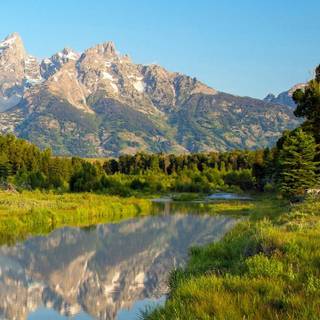 Morning phone wallpaper