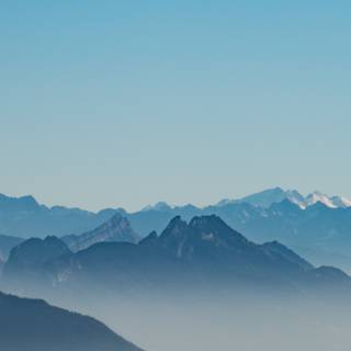 Morning phone wallpaper