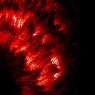 iPhone 11 Pro default wallpaper