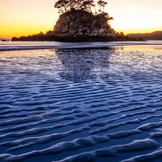 Morning phone wallpaper