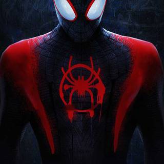 Andrew Garfield Spider-Man iPhone wallpaper