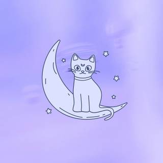 Cat aesthetic phone wallpaper