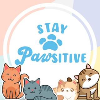 Cat aesthetic phone wallpaper