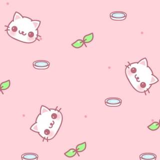 Cat aesthetic phone wallpaper