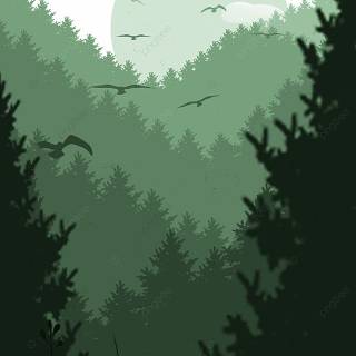 Green minimal phone wallpaper