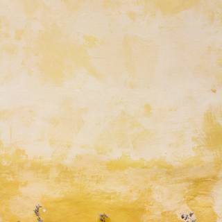 Aesthetic yellow phone wallpaper