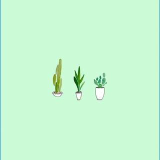 Green minimal phone wallpaper