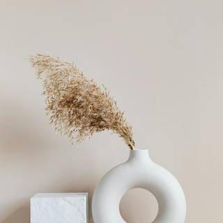 Aesthetic beige phone wallpaper