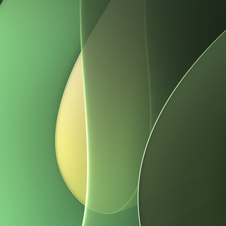 Green minimal phone wallpaper