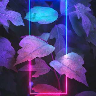 Neon light iPhone wallpaper