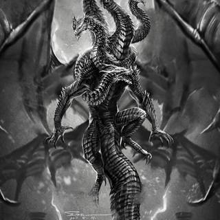 Placidusax wallpaper