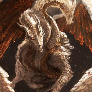 Placidusax wallpaper