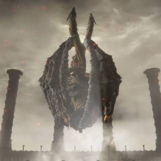 Placidusax wallpaper