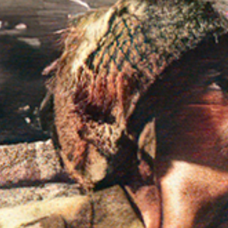 Medal of Honor Vanguard wallpaper