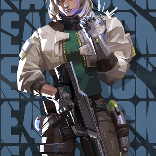 Deadlock Valorant wallpaper