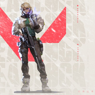 Deadlock Valorant wallpaper