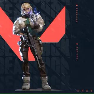 Deadlock Valorant wallpaper