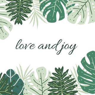 Desktop Monstera wallpaper