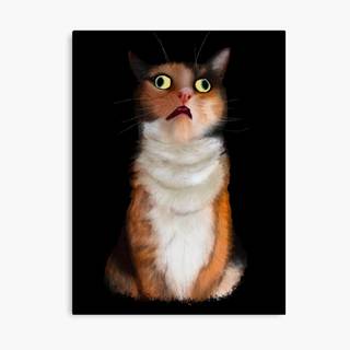 Derpy cats wallpaper