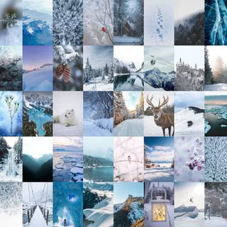Laptop winter collages wallpaper