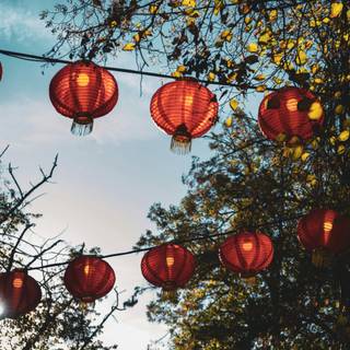 Mobile autumn festival wallpaper