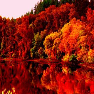 HD red autumn wallpaper