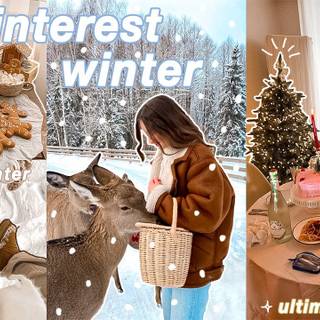 Laptop winter collages wallpaper