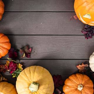 Autumn desktop pumpkin wallpaper