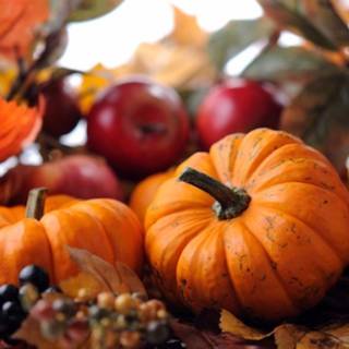 Autumn desktop pumpkin wallpaper