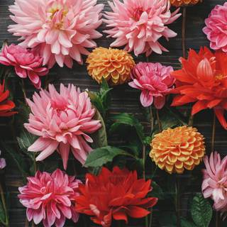 Autumn desktop floral wallpaper