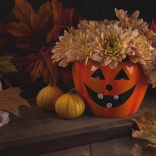 Autumn desktop pumpkin wallpaper