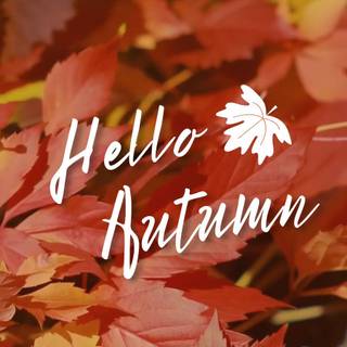 Mobile autumn festival wallpaper