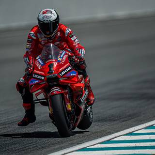 Bagnaia 2024 wallpaper