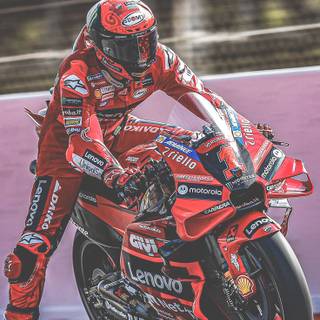 Bagnaia 2024 wallpaper