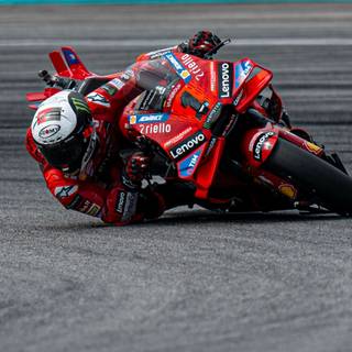 Bagnaia 2024 wallpaper