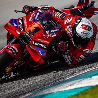 Bagnaia 2024 wallpaper