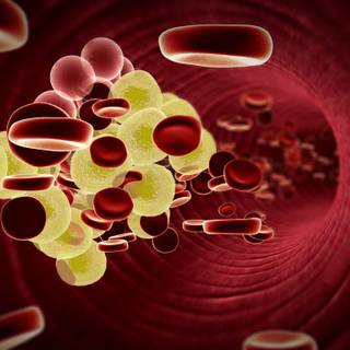 Cholesterol wallpaper