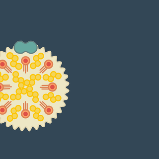 Cholesterol wallpaper
