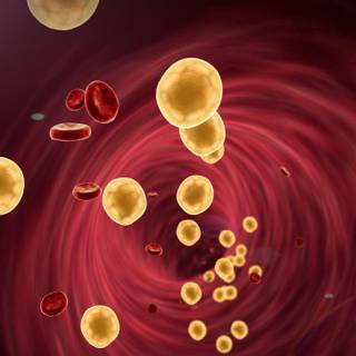 Cholesterol wallpaper