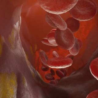 Cholesterol wallpaper