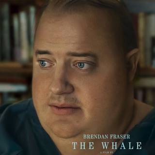 The Whale movie wallpaper
