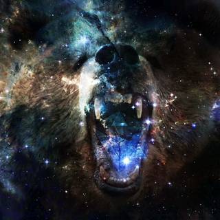 Space bear wallpaper