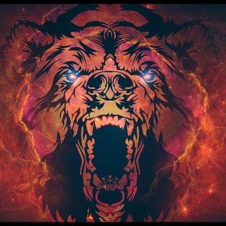 Space bear wallpaper