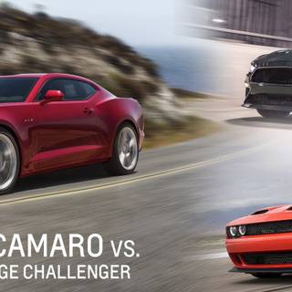 Dodge Challenger and Ford Mustang wallpaper